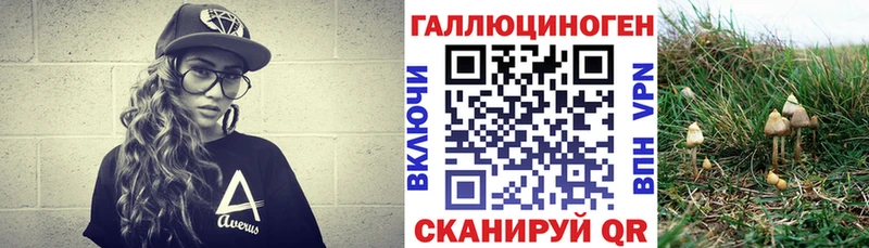 купить наркотики сайты  Никольское  Псилоцибиновые грибы мухоморы 
